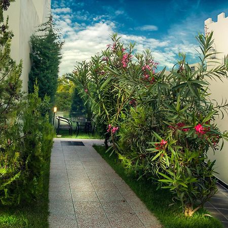 Abbacy Katiana'S Castelleti 1 Διαμέρισμα Λιμένας Εξωτερικό φωτογραφία